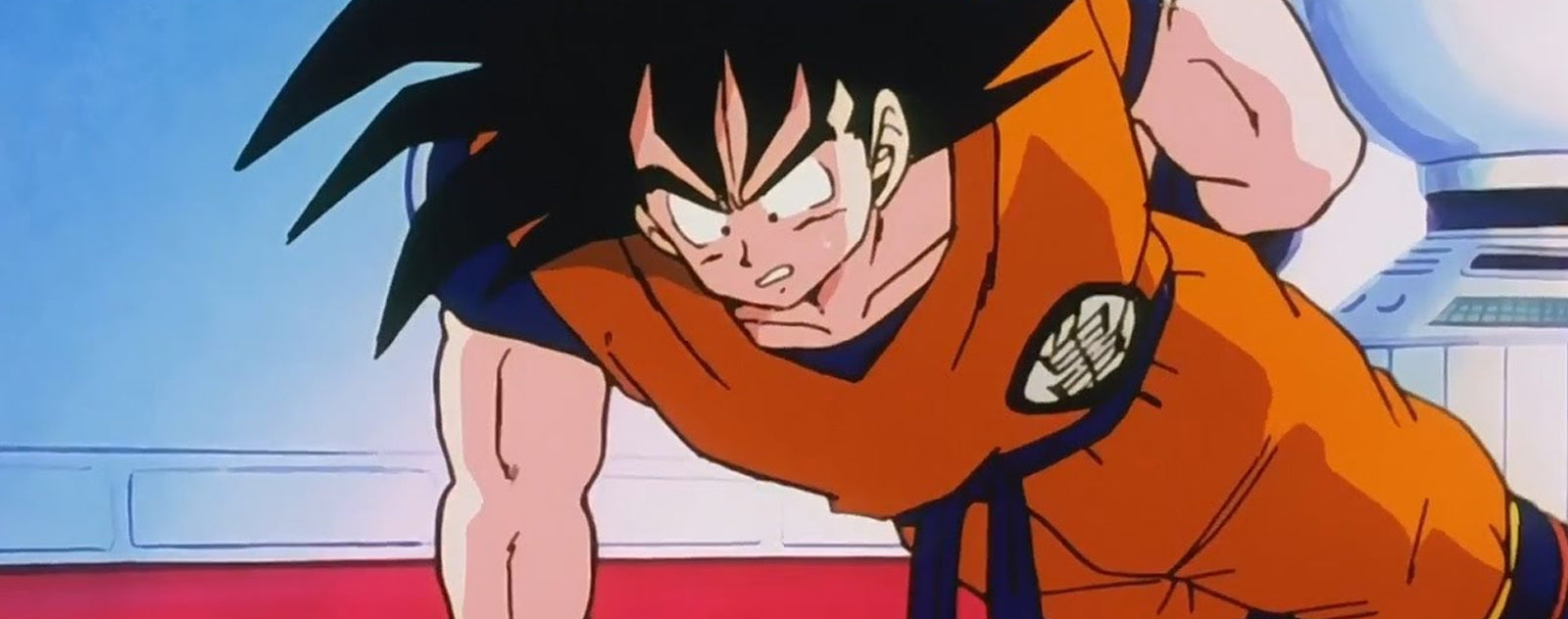 Goku Entrainement