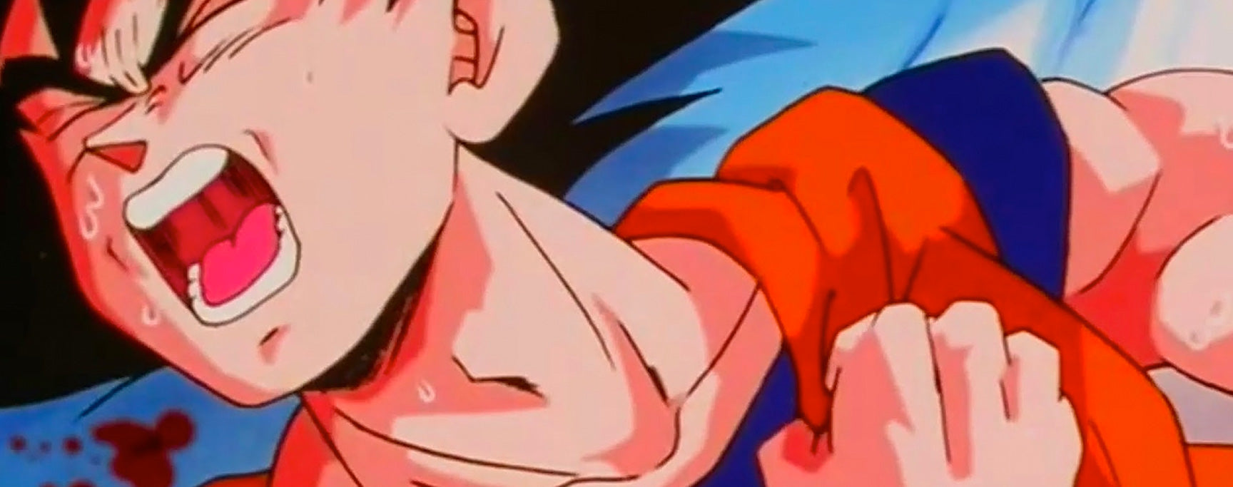 Maladie cardiaque de Goku