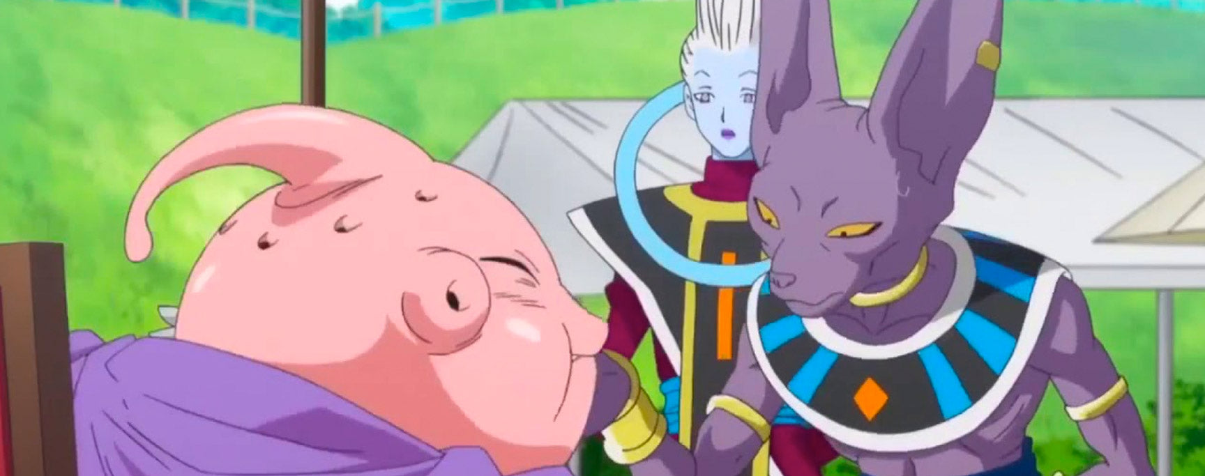 Majin Boo Battle Of Gods