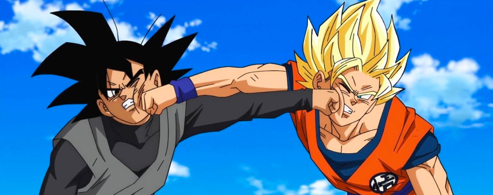 Goku Combat 