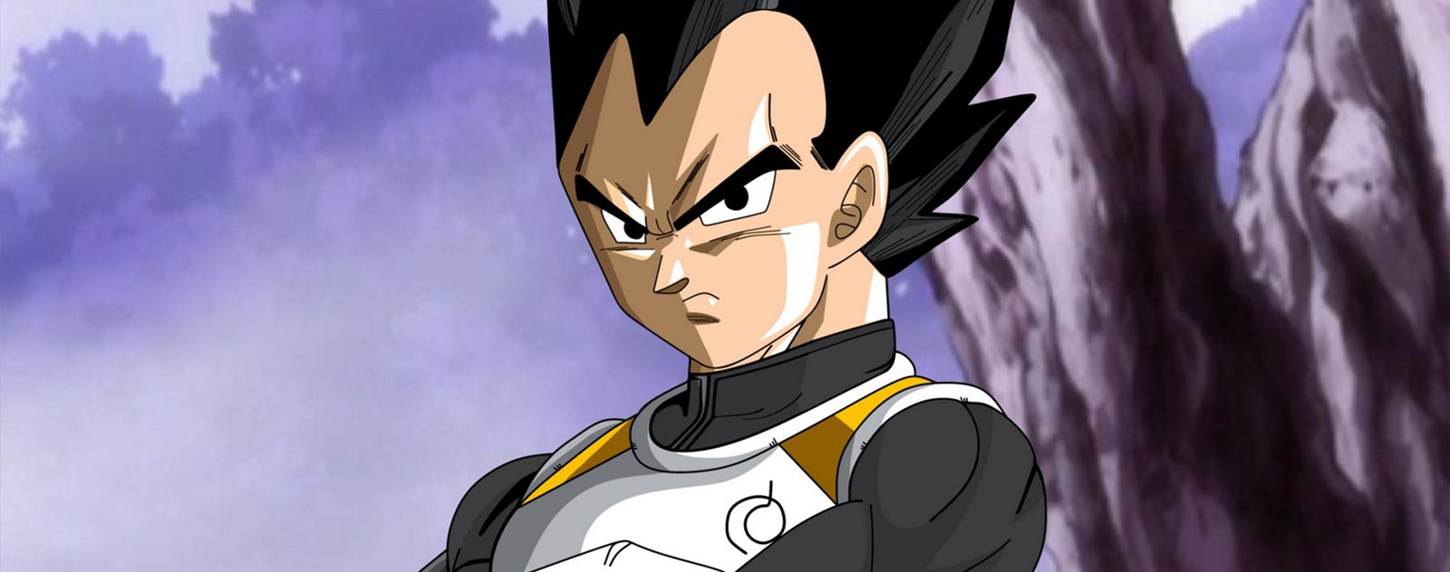 Vegeta God