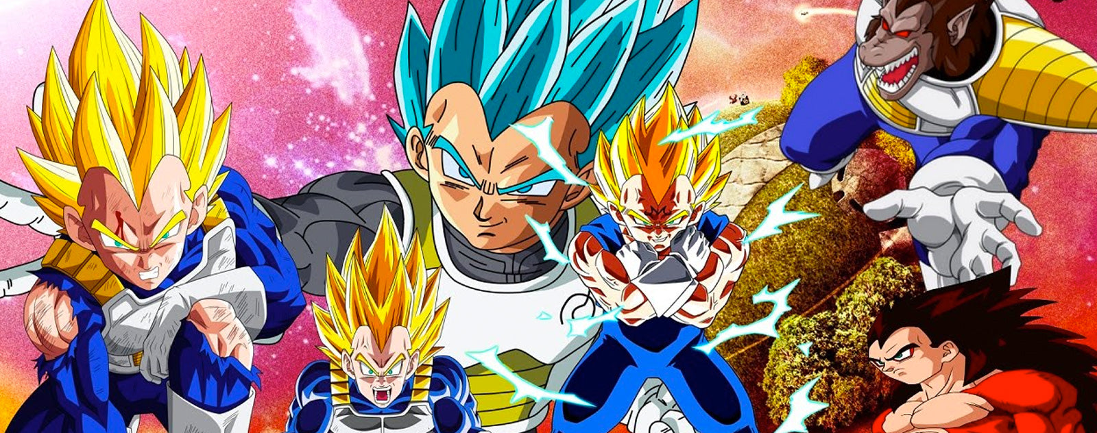 Transformations de Vegeta