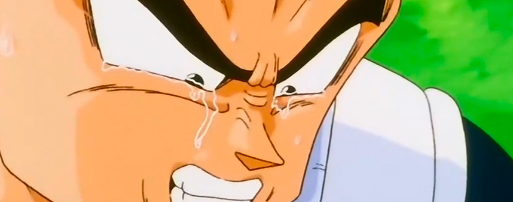 Toriyama déteste Vegeta