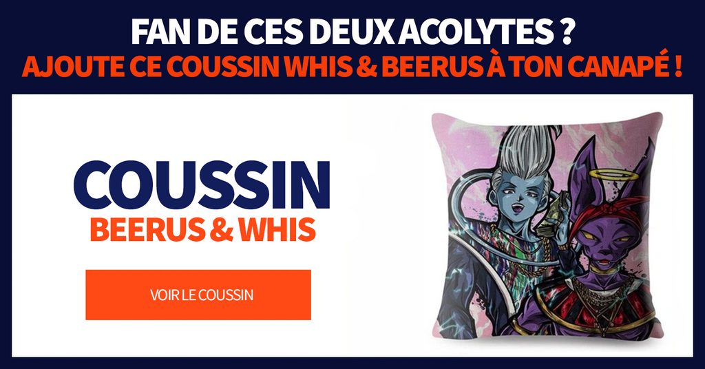 Housse de Coussin Beerus et Whis