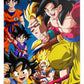 Poster Dragon Ball Z - Evolutions de Goku
