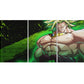Canvas Broly