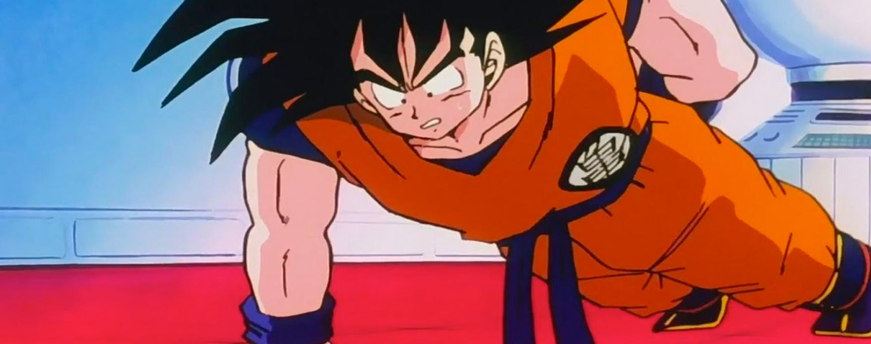 Goku Entrainement 