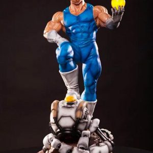 Figurine Collector Dragon Ball Z - Vegeta