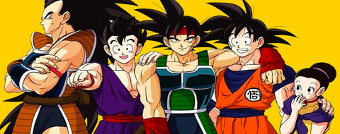 Saiyans Dragon Ball Z