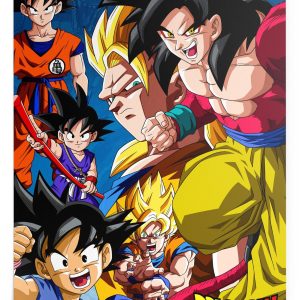 Poster Dragon Ball Z - Evolutions de Goku