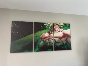 Tableau Dragon Ball Z Broly photo review