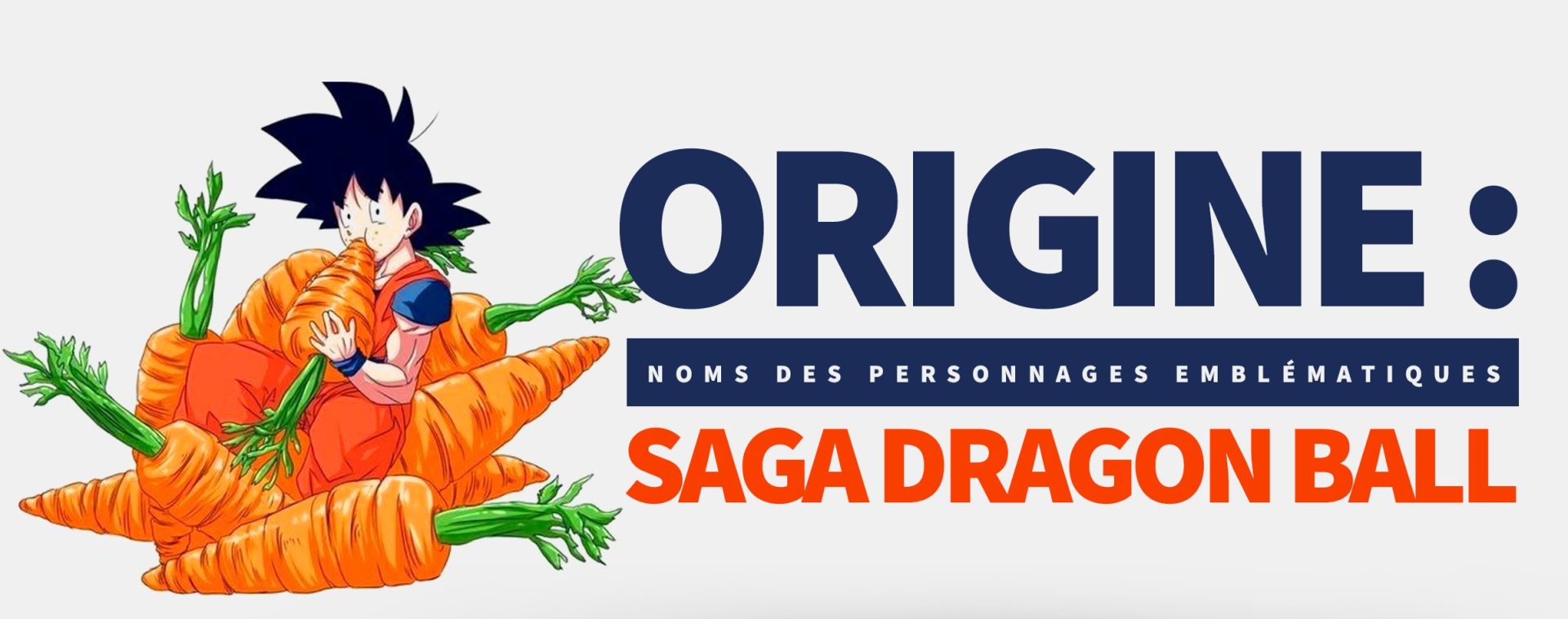 Origine des Noms Dragon Ball