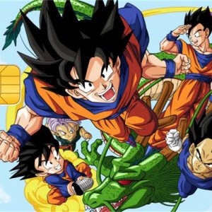 Sticker Carte Bancaire Dragon Ball Saiyans & Shenron