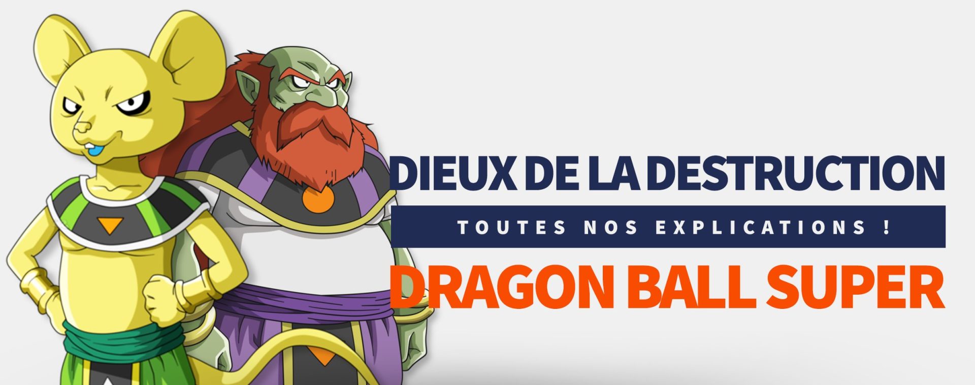 Dieux de la Destruction dans Dragon Ball Super