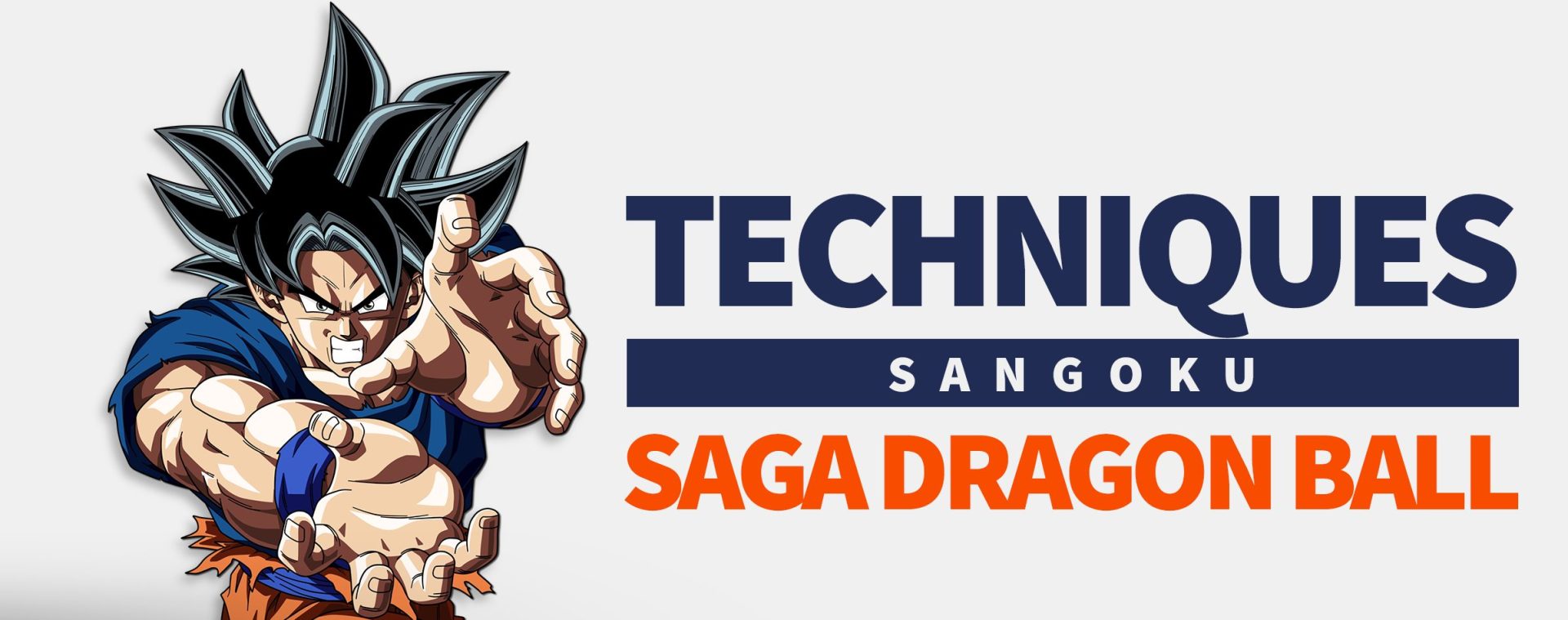 Meilleures Techniques Sangoku