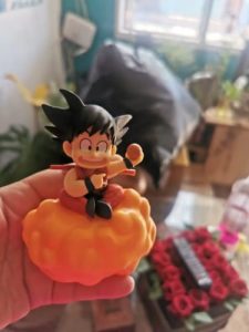 Figurine DBZ Goku Nuage Magique photo review