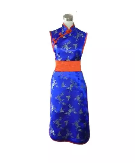 Deguisement Dbz Chichi