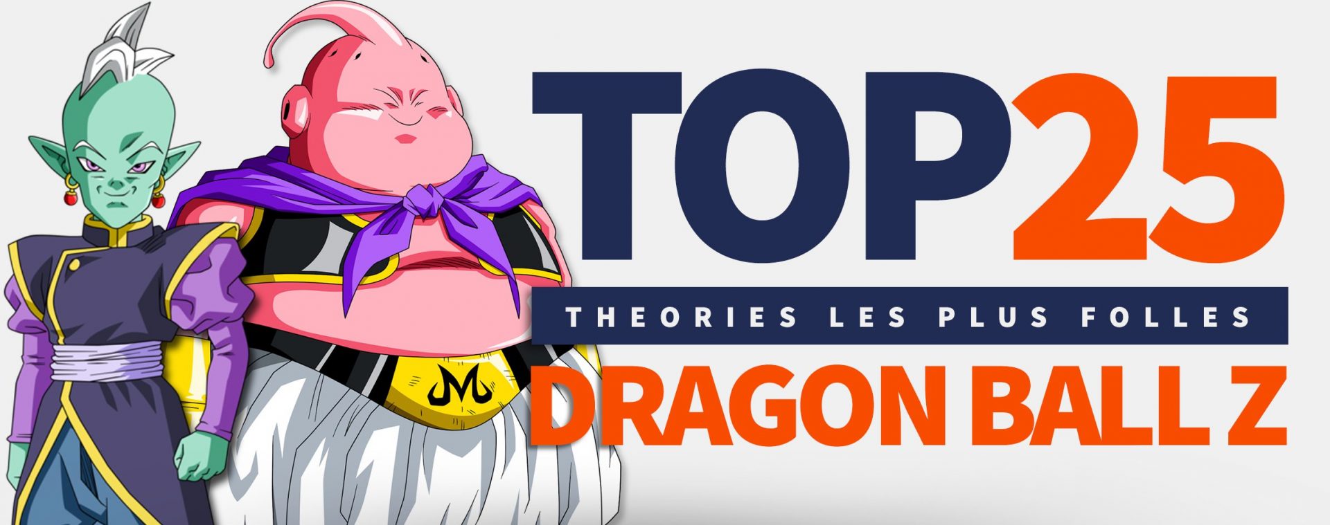 25 Théories DBZ