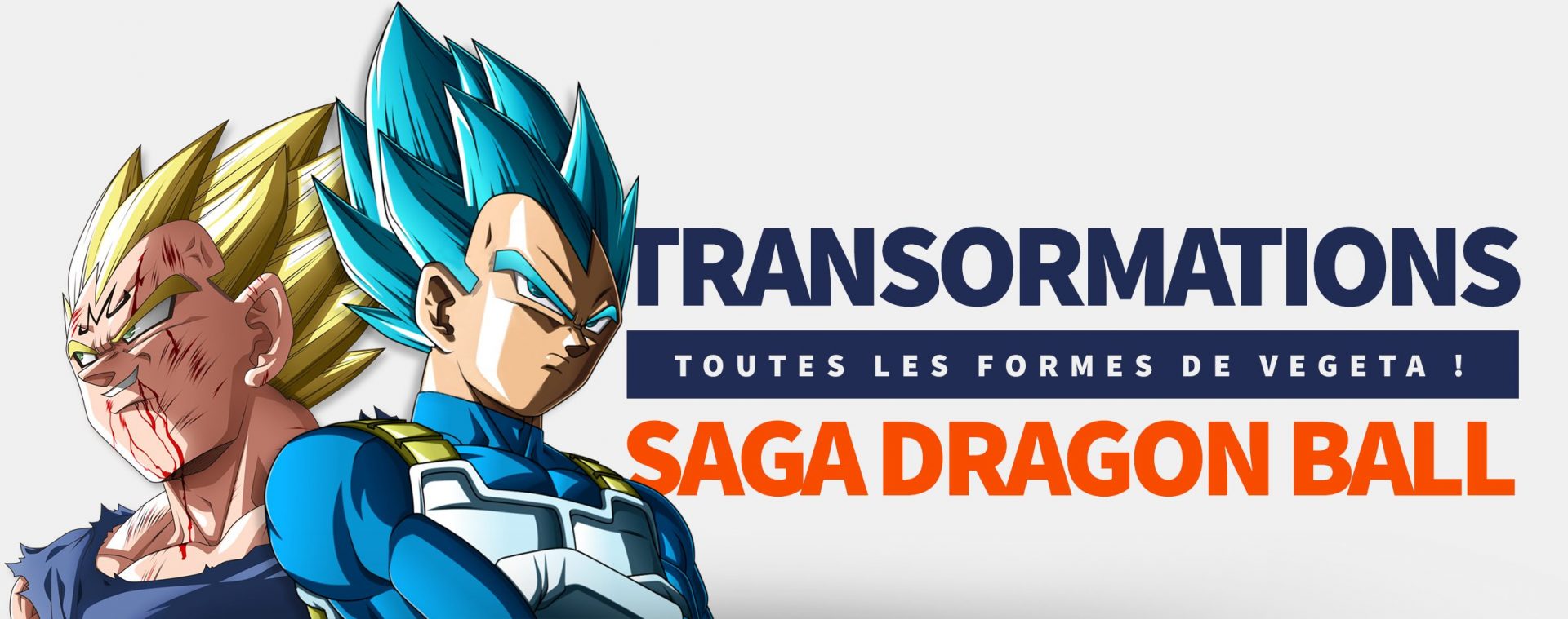 Transformations Vegeta